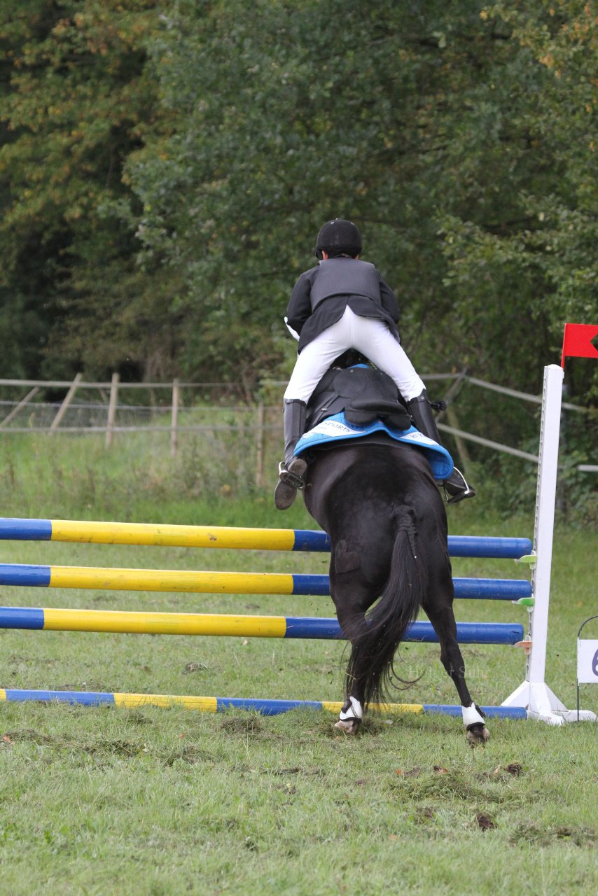 Bild 1380 - WBO-Turnier am 18.9.11